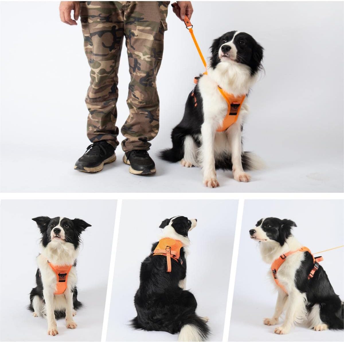 Harnais pour Chien Anti-Traction PETMATTERS™
