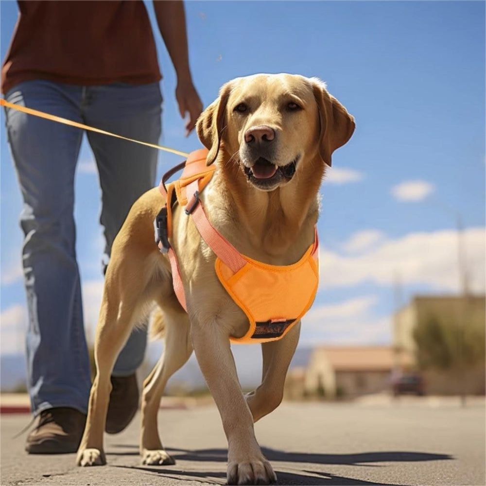 Harnais pour Chien Anti-Traction PETMATTERS™
